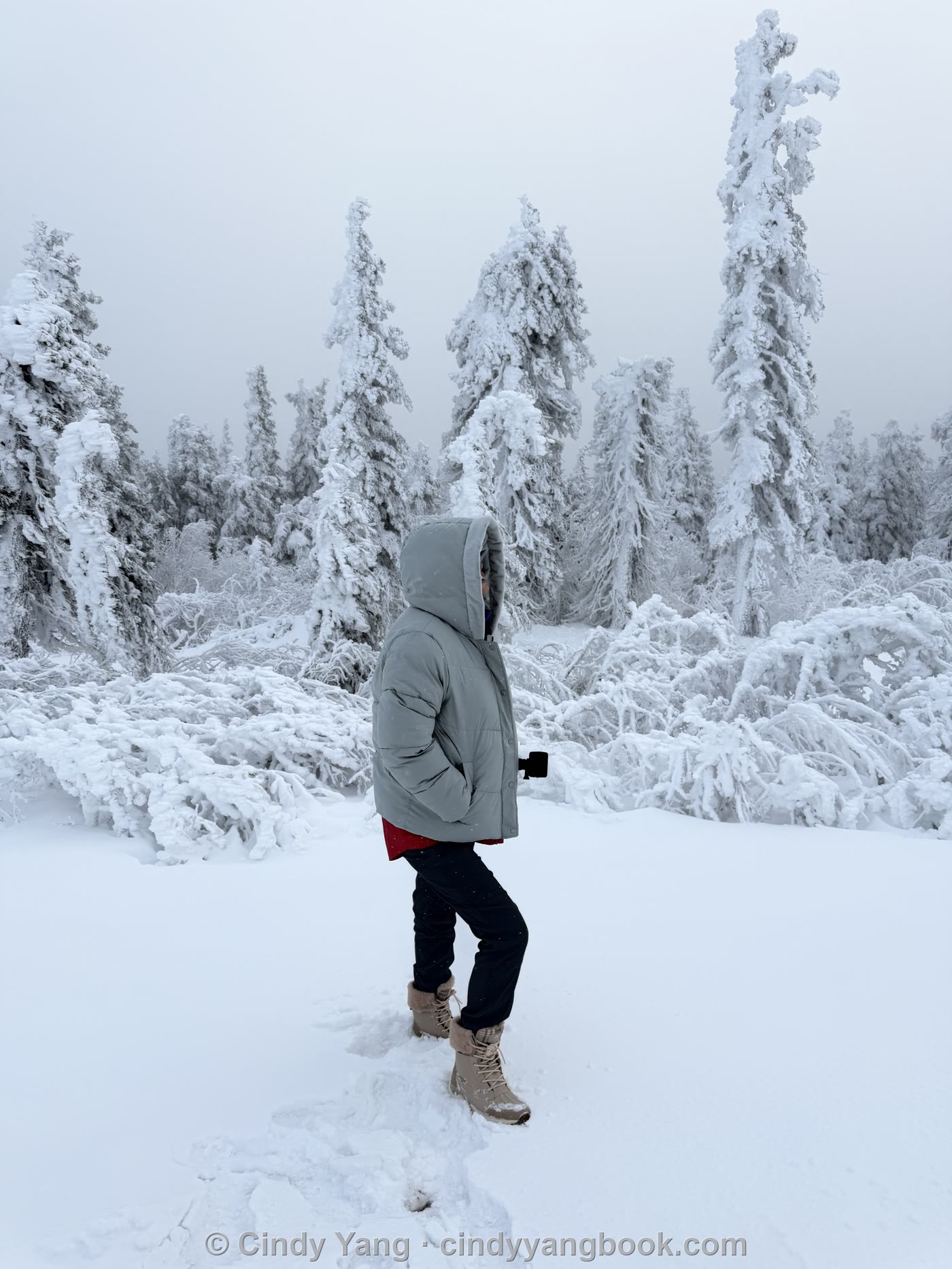 Cindy Yang with her camera in a frost-covered winter forest