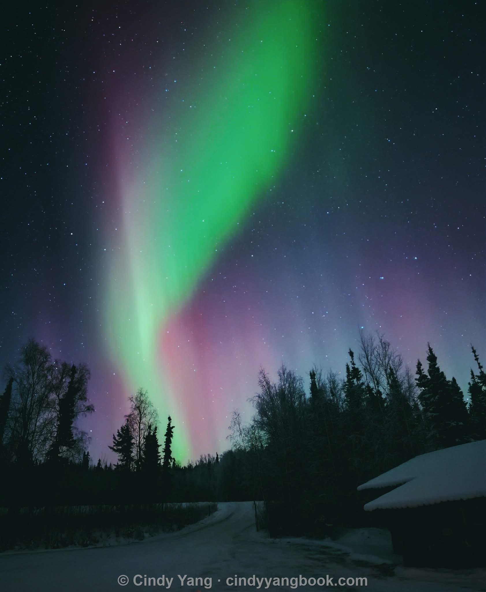 Green and rose aurora over a snowy Alaskan forest, 23 October 2025
