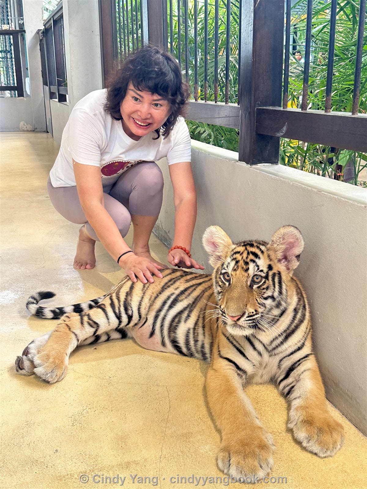 Cindy with a tiger cub in Thailand
