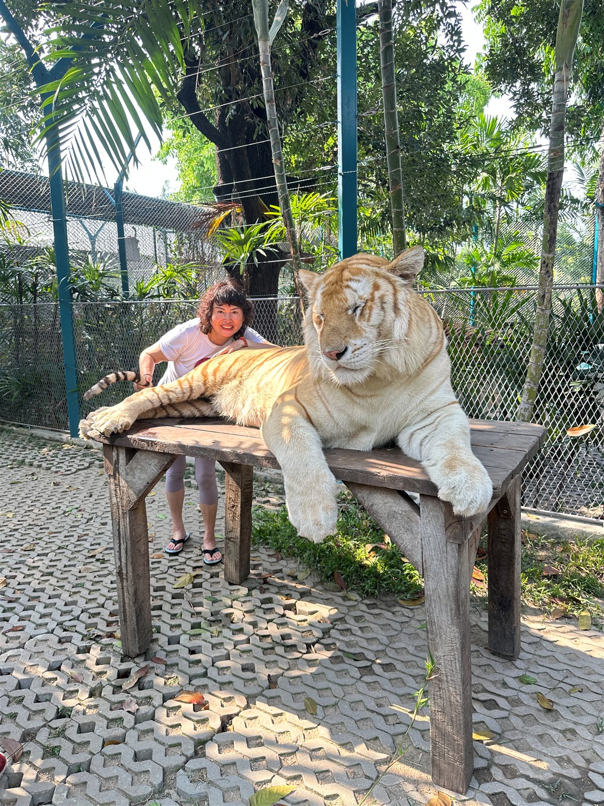 Cindy with a great tiger